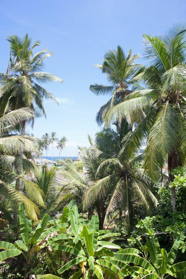 Alvas House Hotel Hikkaduwa Bagian luar foto